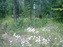PICT0033